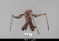 藏品(中國湖北皮影戲偶身)的圖片